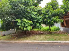 Tanah Kavling Cluster Ivy Park Citraland BSB