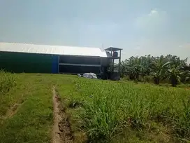 Tanah Murah Kepuh Kencono Pati Cocok Untuk Perumahan