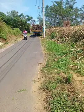 TANAH LOKASI WAGIR SIDORHAYAU MALANG