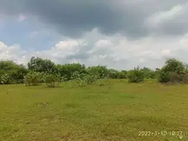 Tanah 1ha  dijual di Arjasa Situbondo