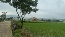 Tanah pingir jln raya cilengsi  cibubur murah nego cash