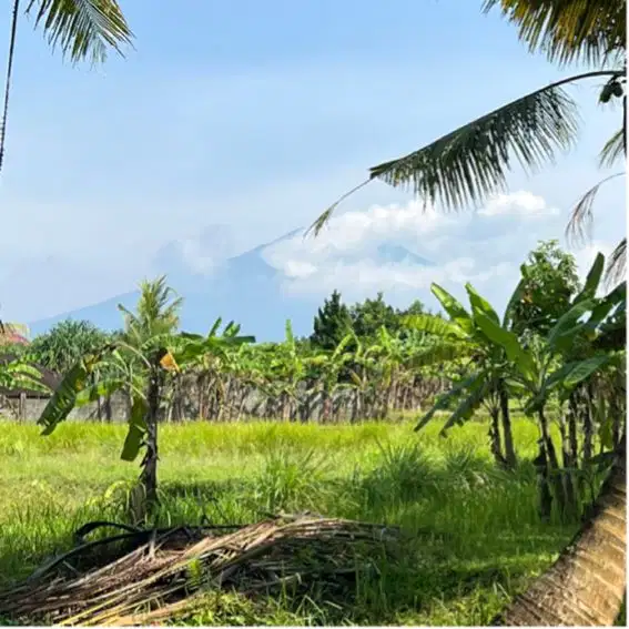 Di jual tanah cocok untuk villa di tabanan
