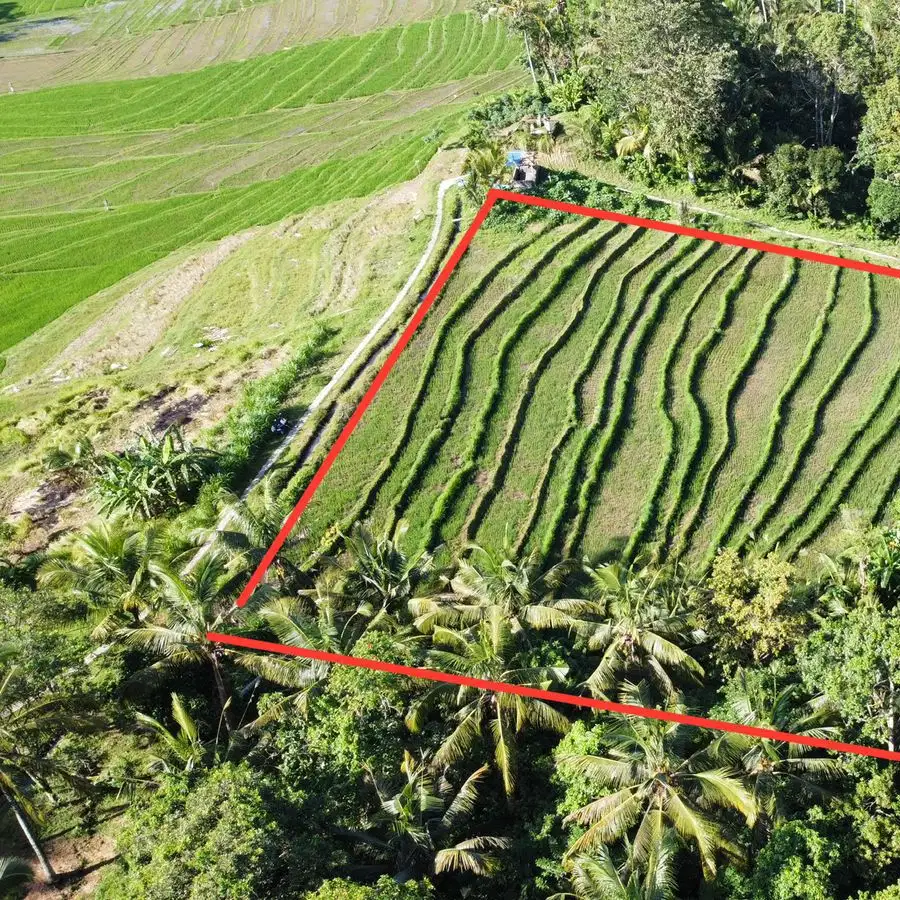 Di jual tanah sawah dan kebun di desa gunung salak tabanan