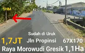 Tanah di Cerme Gresik