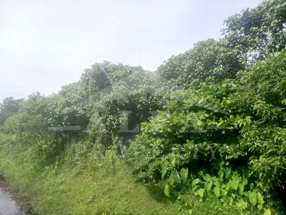 Jual Tanah Jalan Utama Perdana Pontianak Selatan
