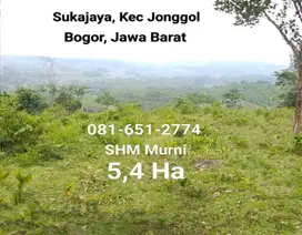 Tanah di Sukajaya Jonggol Bogor