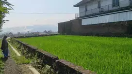 TANAH DEPAN TEMPAT WISATA PARI BENDO LAWANG MALANG