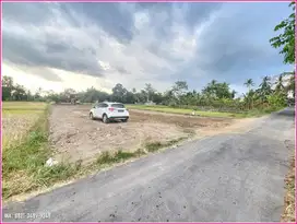 Tanah dijual kost UII Jogja: SHM Pekarangan