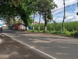 Tanah Poros Jalan provinsi Bakalan Bululawang  Malang