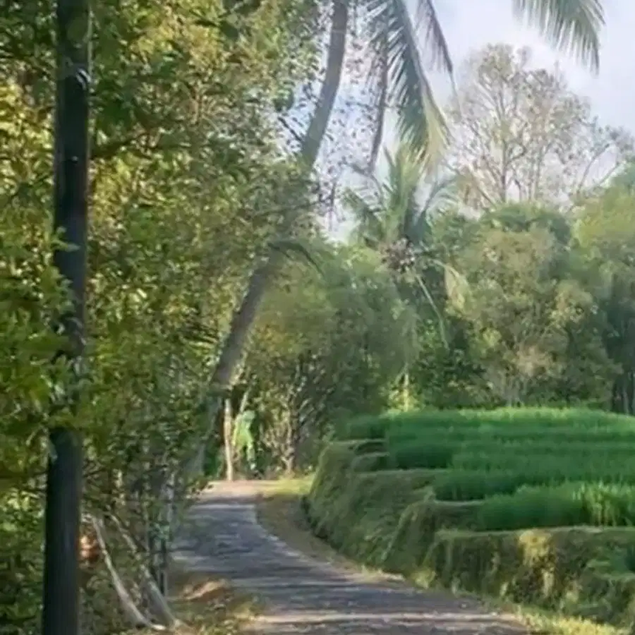 Di jual tanah los sungai air terjun di tabanan bali