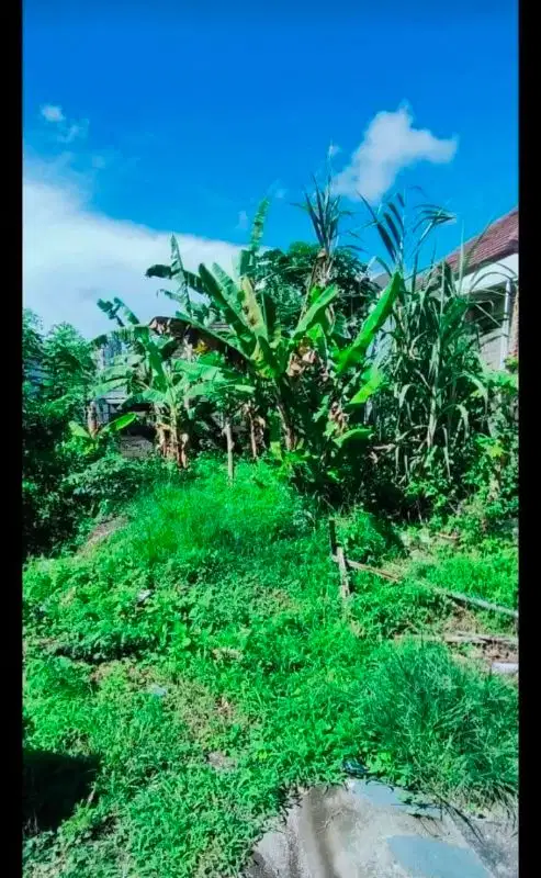 tanah murah 120m2 lokasi  kampial nusadua bali