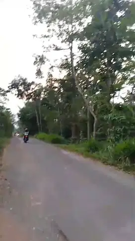 TANAH LOKASI DENGKOL SINGOSARI MALANG