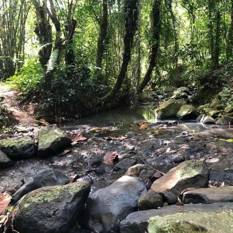 Di jual tanah kebun pinggir jalan langsung sungai