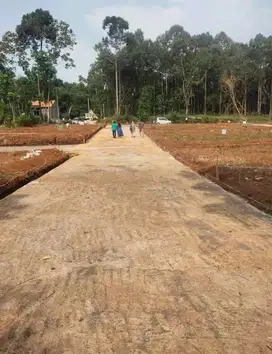 Tanah murah lokasi datar SHM bebas banjir & longsor