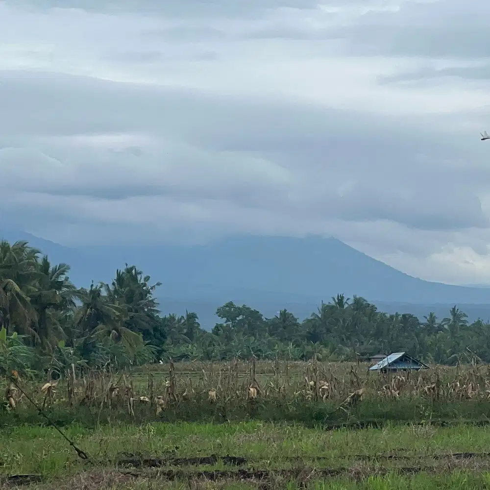 Di jual tanah view sawah ,gunung dan laut di tabanan bali