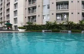 Di sewakan Apartemen Bintaro Park View Tipe Studio muraho