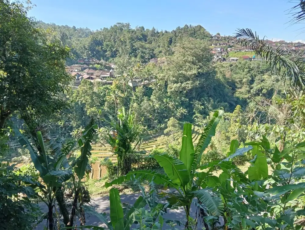 Di jual tanah kebun produktif view sawah , gunung dan lembah