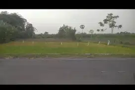 Jual tanah murah di brambang Diwek Jombang bagus untuk usaha + rumah