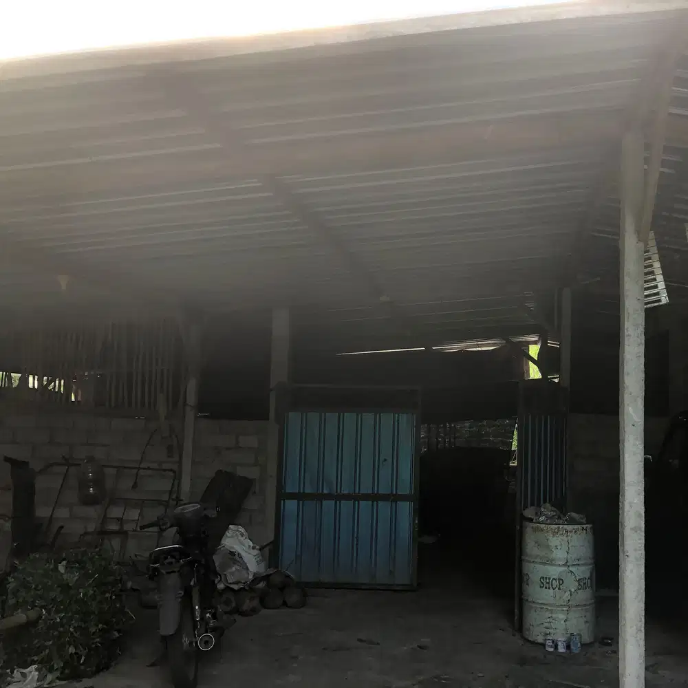 di jual murah kandang babi masih aktif
