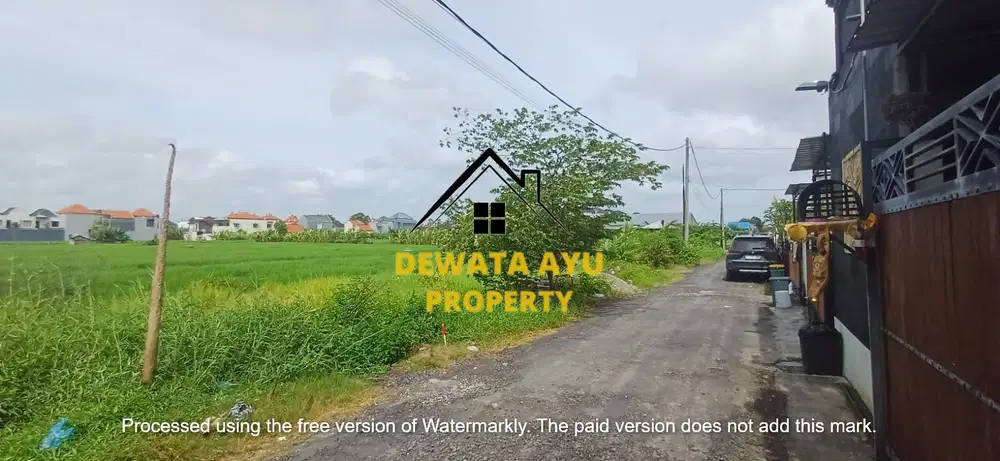 LAHAN KOSONG LUAS 2 ARE VIEW SAWAH HADAP SELATAN DI TUKAD BALIAN