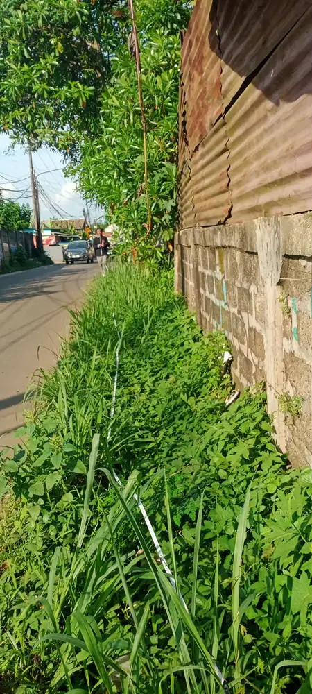 Disewakan tanah di Pagedangan BSD