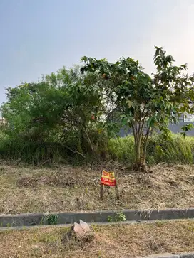 Dijual Kavling Luas 200 m², Taman Simpruk Lippo Cikarang, 750 Juta!