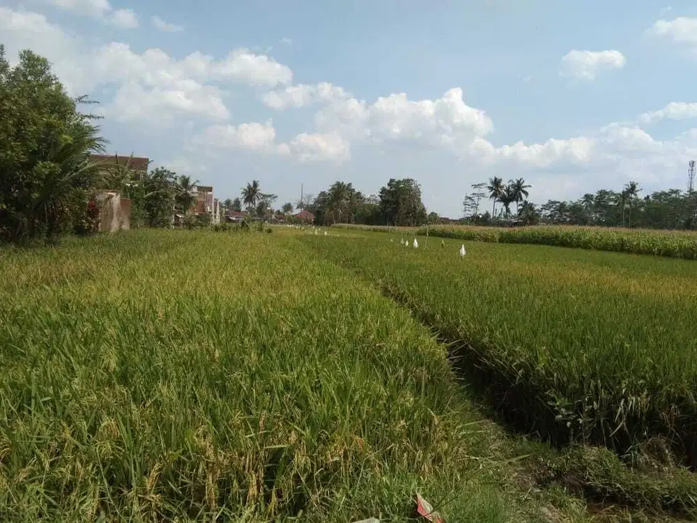 Tanah Kedung Kandang Belakang Blok Office Malang Kota