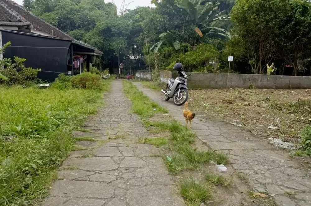 Tanah 168m mlati sleman