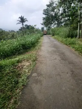TANAH MURAH LOKASI JABUNG KABUPATEN MALANG