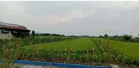 Di Jual Tanah Kedamean Jl. Dr Wahidin Sudirohusodo Kedamean Gresik