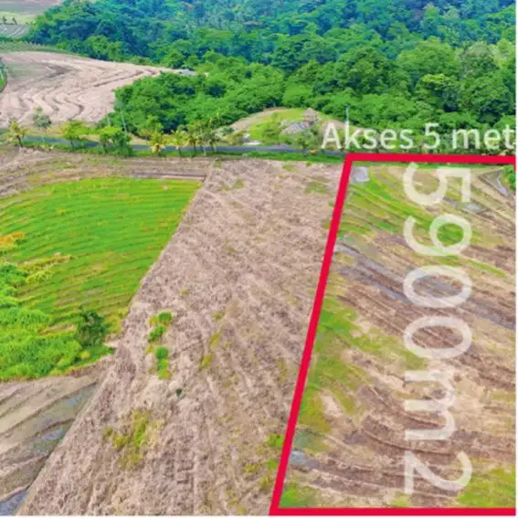 Di jual tanah dekat pantai berada di kawasan villa di tabanan bali