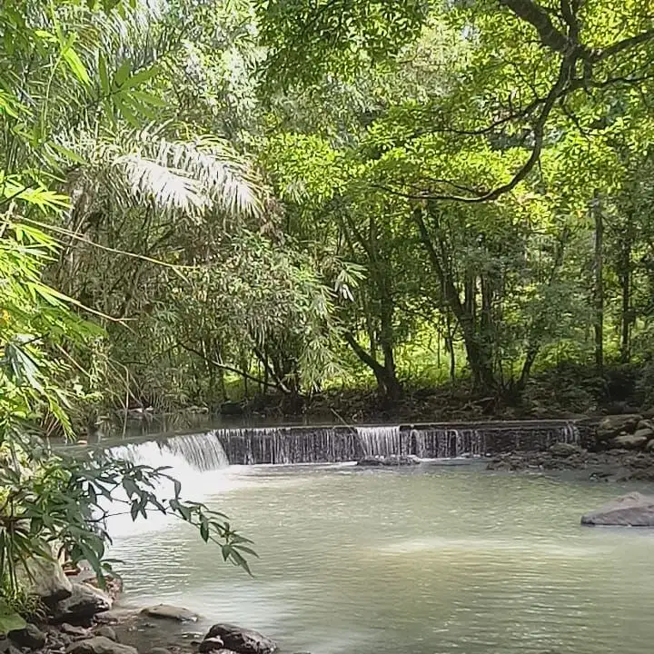 Di jual tanah kebun manggis dan duren langsung sungai di tabanan