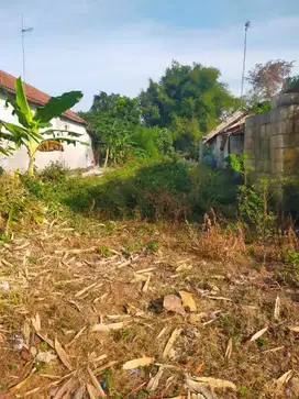 Jual murah tanah siap bangun di Kauman Ngoro Jombang
