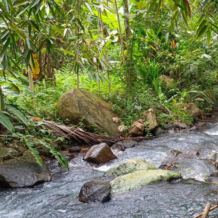 Di jual tanah zona kuning los sungai di kawasan villa