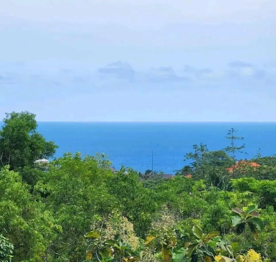 Tanah Premium dan strategis Ocean View Tunjung Ungasan