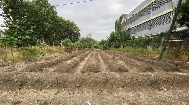 Jual Cepat Tanah di Jalan Raya Made Surabaya