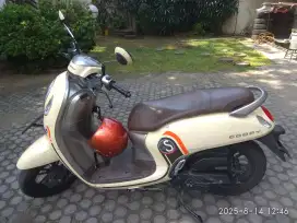 Honda Scoopy Th.2021 Led
