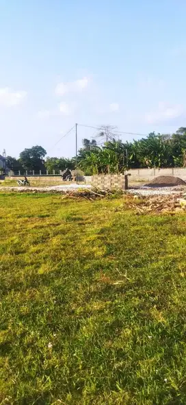 Dijual tanah kosong area seminyak