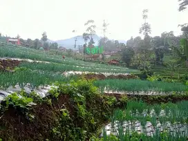 DIJUAL TANAH KEBUN PINGGIR SUNGAI BUAT VILLA