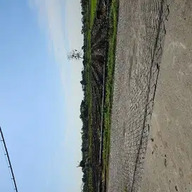 Tanah pinggir jalan poros desa balong panggang