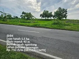 Lahan industri mantup lamongan