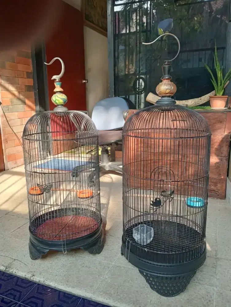 Sangkar burung Lovebird