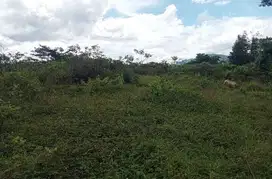 Tanah murah meriah nempel jalan kabupaten