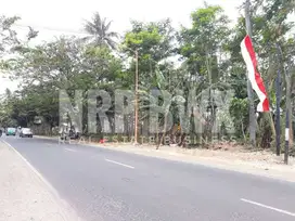 Dijual Tanah Kering di Tepi Jalan Gatot Subroto, Ketapang - Banyuwangi