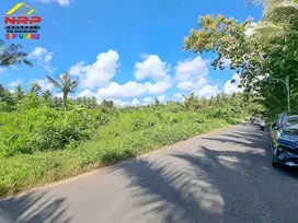 Dijual Tanah Strategis tepi Jl. Kh Ahmad Asyari, Pakistaji - Banyuwang