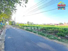 Dijual Tanah Sawah Murah di Area Perumahan Pusat Kota Banyuwangi