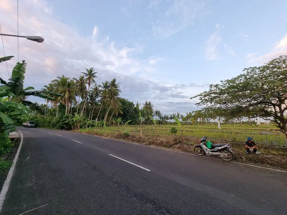 DIJUAL SEBIDANG TANAH BERKILAU SEPERTI BERLIAN