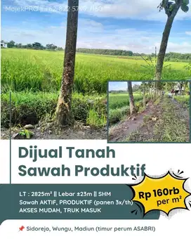 Tanah Sawah Timur Perum ASABRI Sidorejo Wungu Madiun