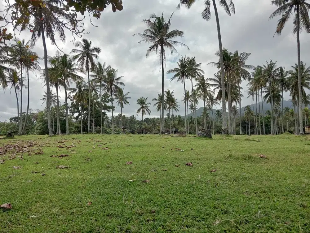 Dijual tanah beachfront murah di balian lalanglingah tabanan bali