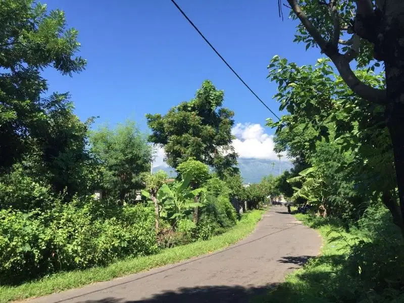 land for sale/ dijual tanah 750m2 batu belah tulamben